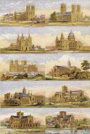 Cathedrals in England by Bradshaw & Blacklock