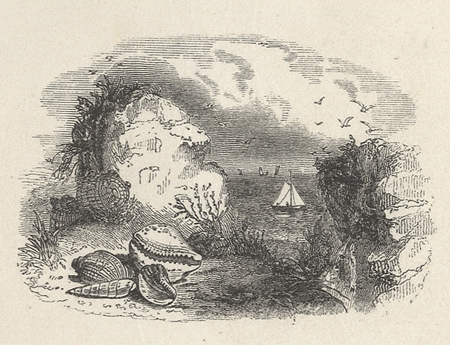 The vignette on the title page of The Sea-Side Companion engraved by George Baxter